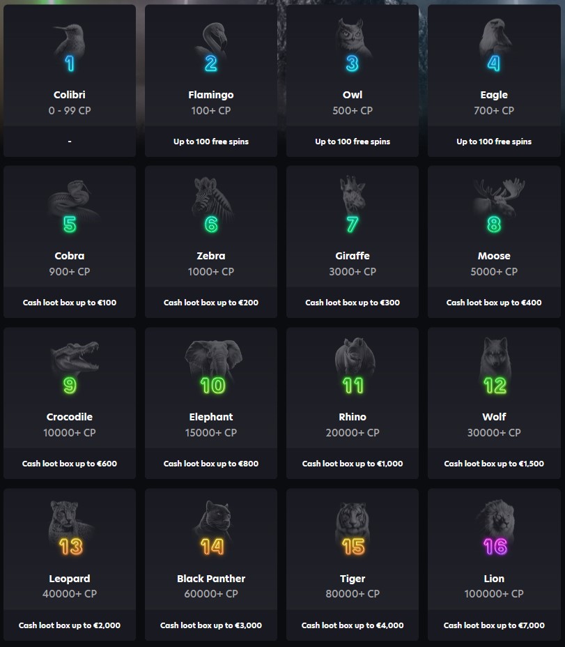 Neospin VIP program 